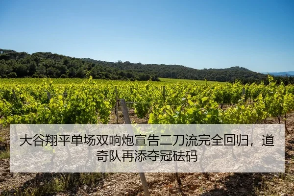 大谷翔平单场双响炮宣告二刀流完全回归，道奇队再添夺冠砝码