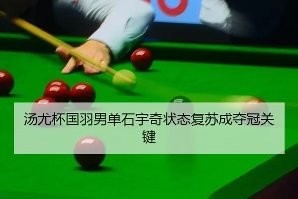 tang-you-bei-guo-yu-nan-dan-shi-yu-qi-zhuang-tai-fu-su-cheng-duo-guan-guan-jian-2-548.jpg