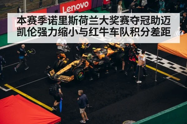 F1 pit stop strategy